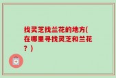 找灵芝找兰花的地方(在哪里寻找灵芝和兰花？)