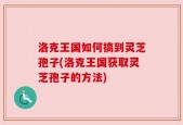 洛克王国如何搞到灵芝孢子(洛克王国获取灵芝孢子的方法)