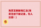 海灵芝刷新地汇总(海灵芝创下新记录，引人注目！)
