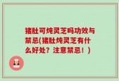猪肚可炖灵芝吗功效与禁忌(猪肚炖灵芝有什么好处？注意禁忌！)