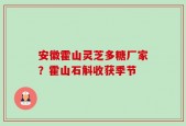 安徽霍山灵芝多糖厂家？霍山石斛收获季节