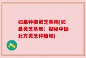 如皋种植灵芝基地(如皋灵芝基地：探秘中国北方灵芝种植地)