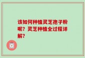 该如何种植灵芝孢子粉呢？灵芝种植全过程详解？