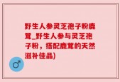 野生人参灵芝孢子粉鹿茸_野生人参与灵芝孢子粉，搭配鹿茸的天然滋补佳品)