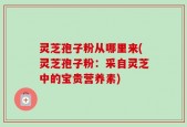 灵芝孢子粉从哪里来(灵芝孢子粉：采自灵芝中的宝贵营养素)