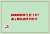 酵母破壁灵芝孢子粉？孢子粉蒸馒头的做法