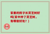 家里的院子长灵芝树好吗(家中种了灵芝树，有哪些好处？)