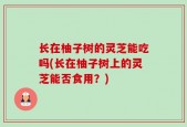 长在柚子树的灵芝能吃吗(长在柚子树上的灵芝能否食用？)