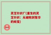 灵芝针织厂(重生的灵芝针织：从破败到繁华的蜕变)