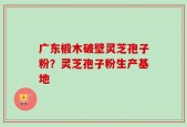 广东椴木破壁灵芝孢子粉？灵芝孢子粉生产基地