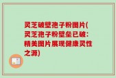 灵芝破壁孢子粉图片(灵芝孢子粉壁垒已破：精美图片展现健康灵性之源)