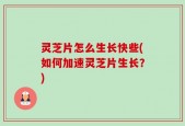 灵芝片怎么生长快些(如何加速灵芝片生长？)
