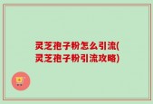 灵芝孢子粉怎么引流(灵芝孢子粉引流攻略)