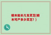 椴木能长几支灵芝(椴木可产多少灵芝？)