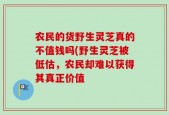 农民的货野生灵芝真的不值钱吗(野生灵芝被低估，农民却难以获得其真正价值