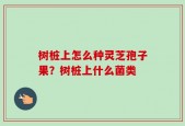 树桩上怎么种灵芝孢子果？树桩上什么菌类