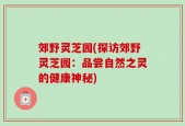 郊野灵芝园(探访郊野灵芝园：品尝自然之灵的健康神秘)