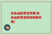 长白山野灵芝作用(长白山野灵芝的功效和作用)