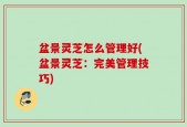 盆景灵芝怎么管理好(盆景灵芝：完美管理技巧)