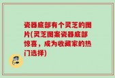 瓷器底部有个灵芝的图片(灵芝图案瓷器底部惊喜，成为收藏家的热门选择)