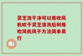 灵芝洗干净可以用吹风机吹干灵芝清洗后利用吹风机风干方法简单易行