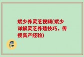 斌少养灵芝视频(斌少详解灵芝养殖技巧，传授高产经验)