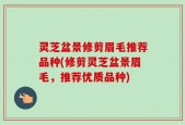 灵芝盆景修剪眉毛推荐品种(修剪灵芝盆景眉毛，推荐优质品种)