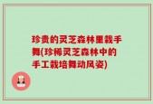 珍贵的灵芝森林里栽手舞(珍稀灵芝森林中的手工栽培舞动风姿)