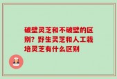 破壁灵芝和不破壁的区别？野生灵芝和人工栽培灵芝有什么区别