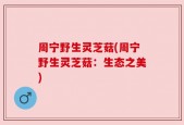 周宁野生灵芝菇(周宁野生灵芝菇：生态之美)