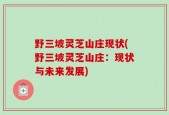野三坡灵芝山庄现状(野三坡灵芝山庄：现状与未来发展)