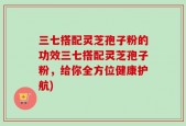 三七搭配灵芝孢子粉的功效三七搭配灵芝孢子粉，给你全方位健康护航)