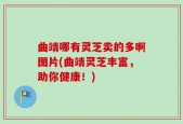 曲靖哪有灵芝卖的多啊图片(曲靖灵芝丰富，助你健康！)