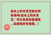 枯木上的木灵芝能吃吗有毒吗(枯木上的木灵芝：可以食用却需谨慎，应避免野生摘取。)