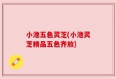 小池五色灵芝(小池灵芝精品五色齐放)