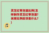 灵芝红枣泡酒比例(怎样制作灵芝红枣泡酒？关键比例应该是什么？)