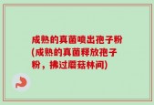 成熟的真菌喷出孢子粉(成熟的真菌释放孢子粉，拂过蘑菇林间)
