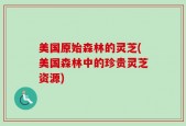美国原始森林的灵芝(美国森林中的珍贵灵芝资源)
