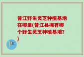 普江野生灵芝种植基地在哪里(普江县拥有哪个野生灵芝种植基地？)
