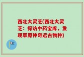 西北大灵芝(西北大灵芝：探访中药宝库，发现草原神奇远古物种)