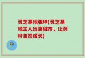 灵芝基地张坤(灵芝基地主人远离城市，让药材自然成长)