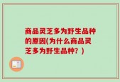 商品灵芝多为野生品种的原因(为什么商品灵芝多为野生品种？)