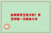 仙草牌灵芝孢子粉？灵芝种植一次能收几年