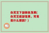 白灵芝下部颜色发黑(白灵芝底部变黑，究竟是什么原因？)