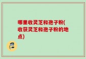 哪里收灵芝和孢子粉(收获灵芝和孢子粉的地点)