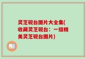 灵芝砚台图片大全集(收藏灵芝砚台：一组精美灵芝砚台图片)