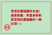 灵芝红蘑菇图片大全(独家收集：丰富多彩的灵芝和红蘑菇图片一网打尽！)