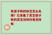 有孢子粉的林芝怎么处理？已采集了灵芝孢子粉的灵芝功效作用怎样呢