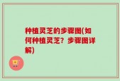 种植灵芝的步骤图(如何种植灵芝？步骤图详解)