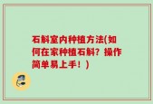 石斛室内种植方法(如何在家种植石斛？操作简单易上手！)